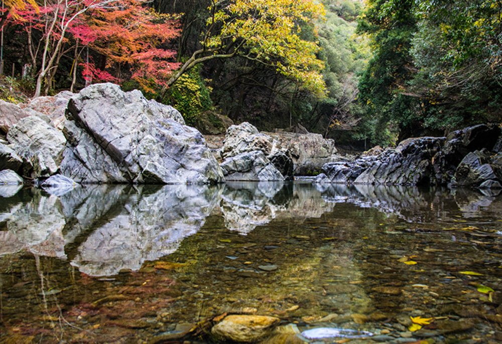 大阪楓葉景點｜攝津峽公園