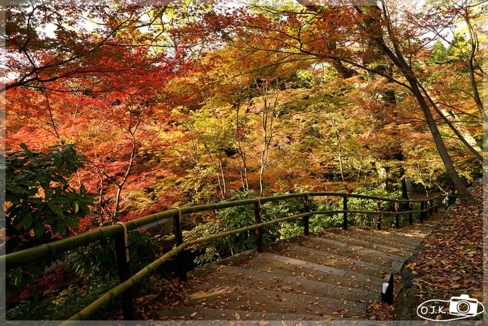 京都楓葉景點北野天滿宮