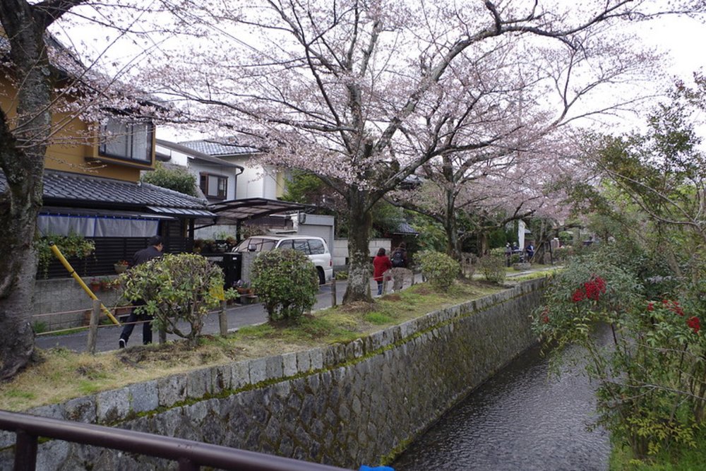 京都景點哲學之道