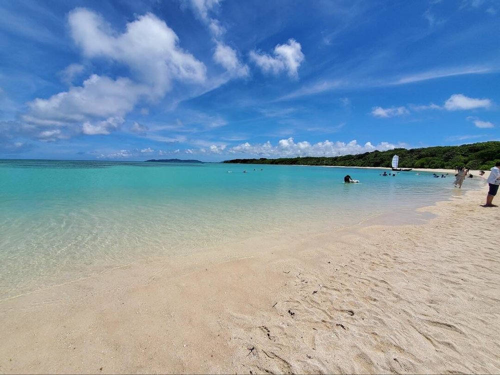 寄港地での観光