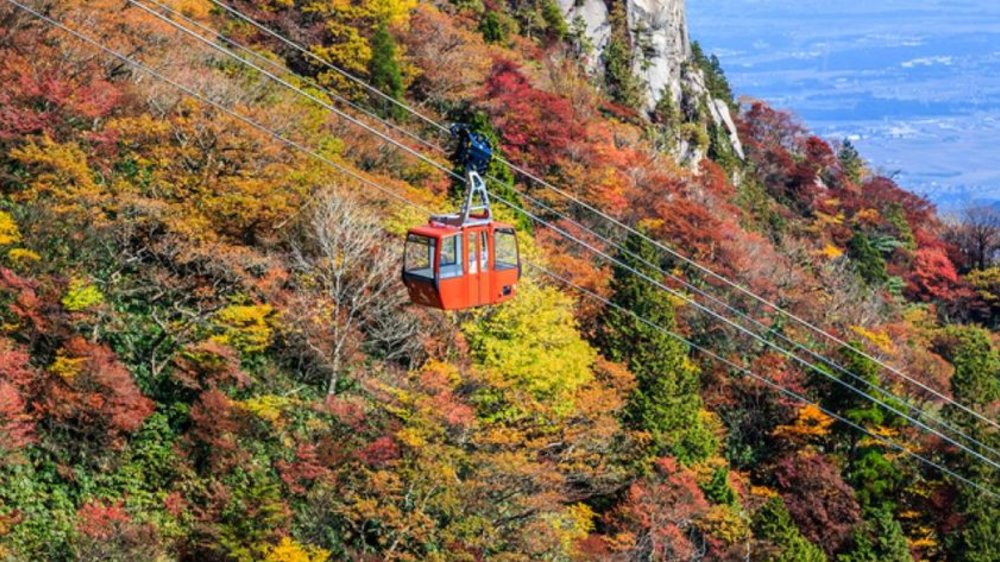 日本楓葉景點｜大阪賞楓御在所山 