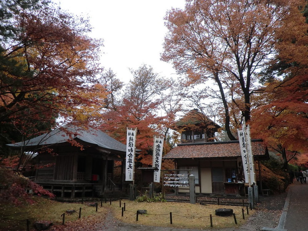 日本賞楓推薦｜東北賞楓 岩手縣中尊寺