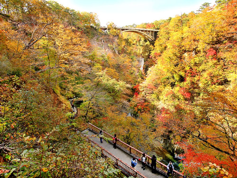 日本賞楓景點鳴子峡