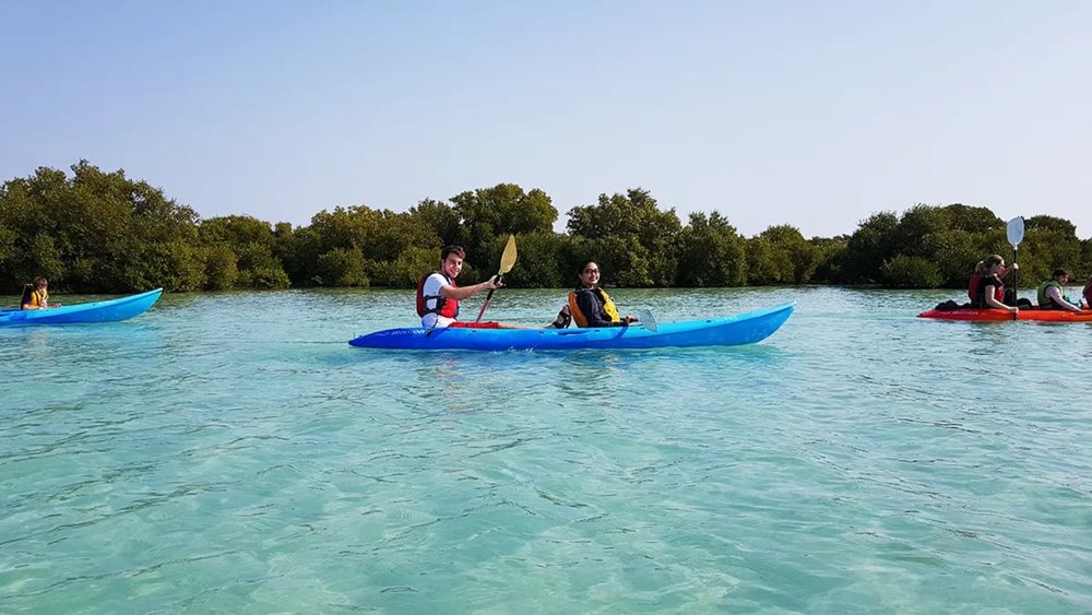 Half-Day Krabi Mangrove Kayak Tour, Drive to Surat Thani