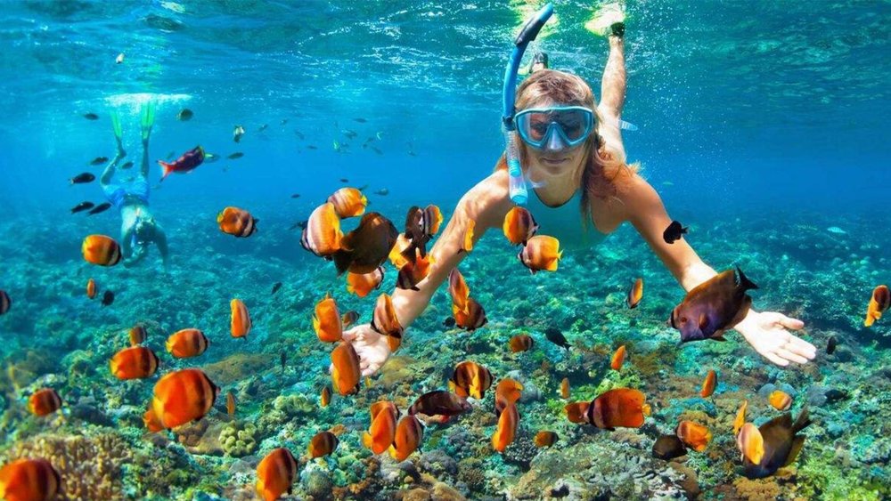 Koh Tao and Koh Nang Yuan Day Tour