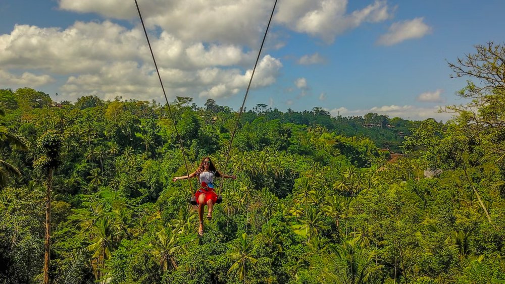 Bali Swing and Bali Bird Nest