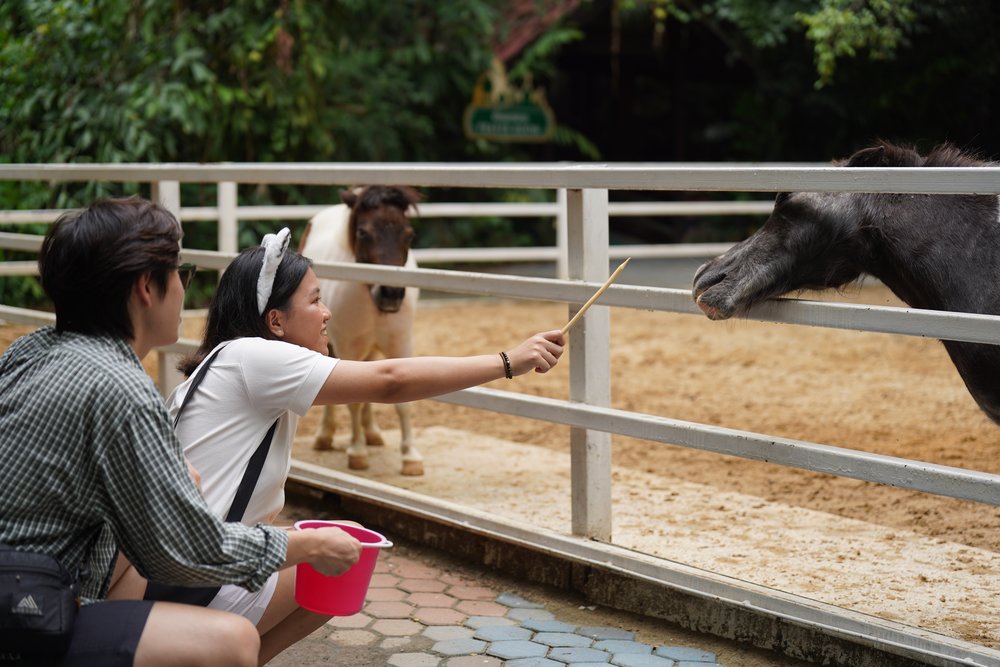 Woman feeding donkey and man holding a bucket
