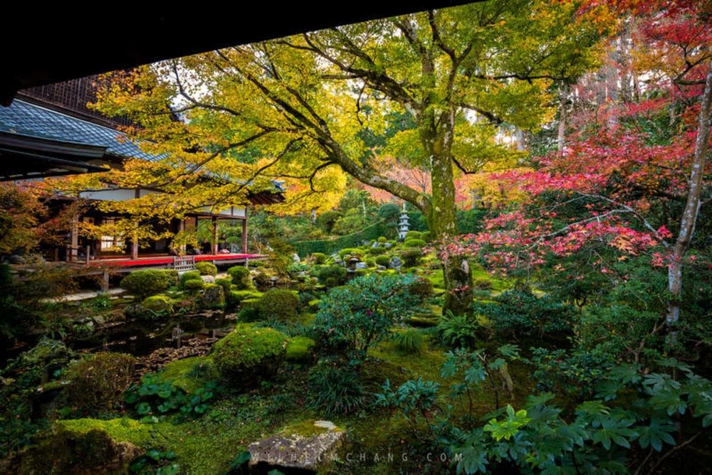 京都楓葉景點|毘沙門堂