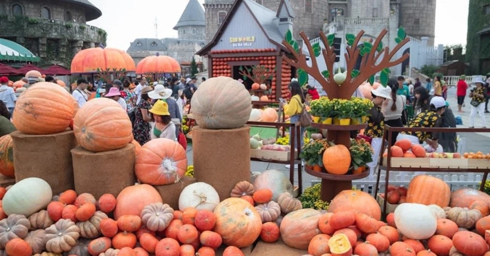 峴港巴拿山活動萬聖節