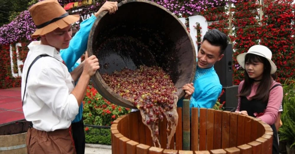 巴拿山活動葡萄酒節