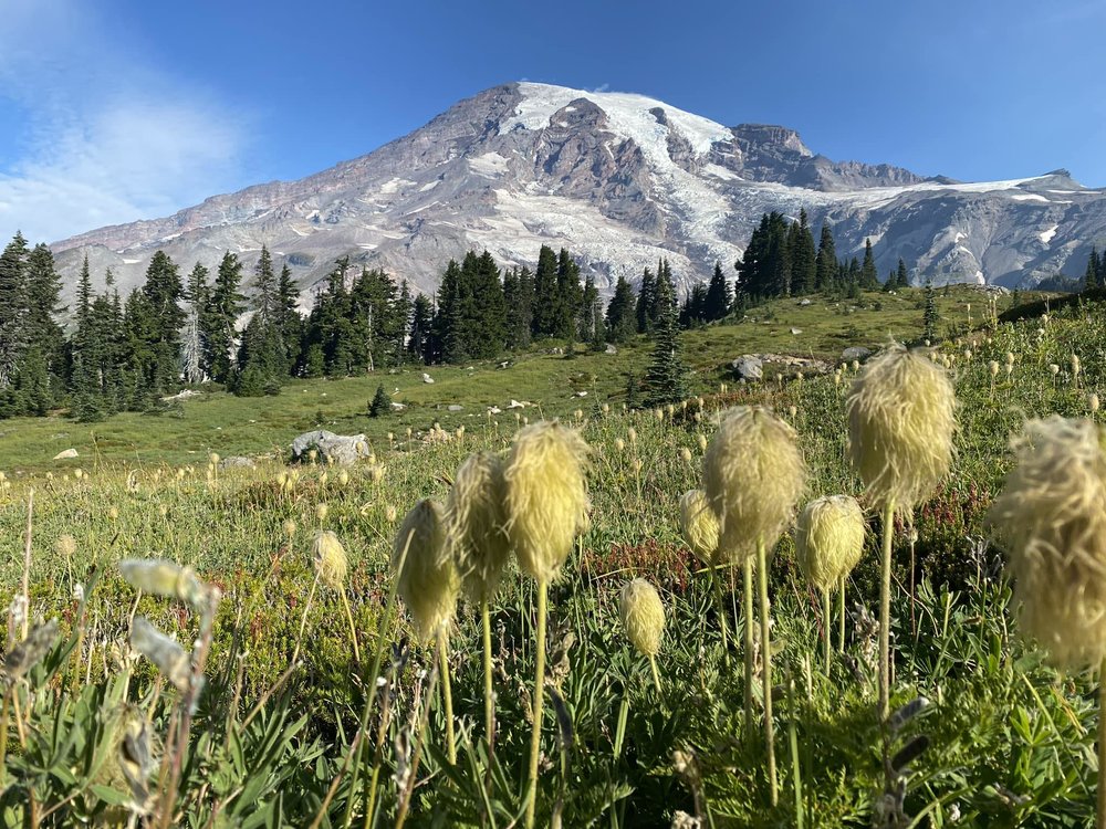 Mount Rainier National Park view