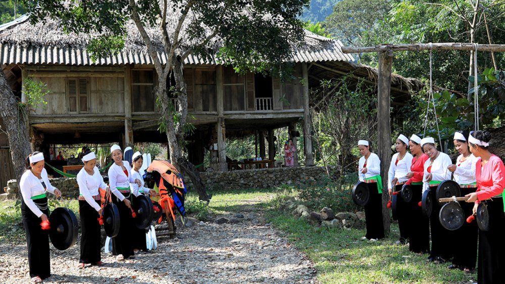 hoa-binh