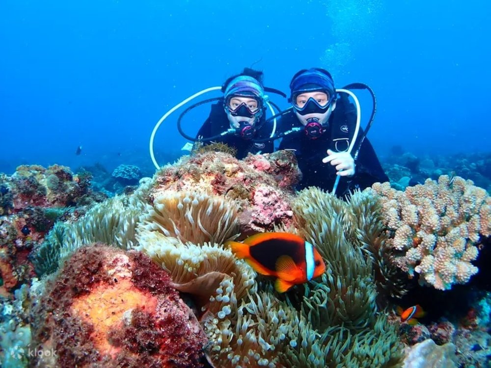 Scuba divers posing in the camera