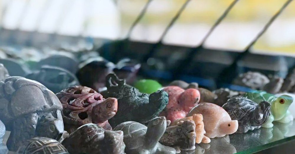 Bảo Tàng Rùa Singapore