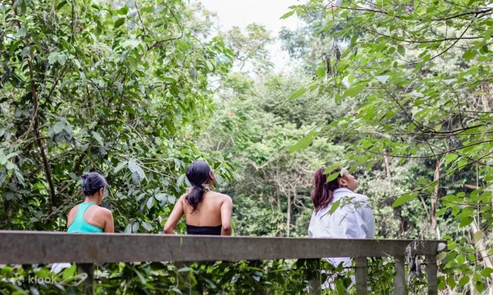 People relaxing at the forest