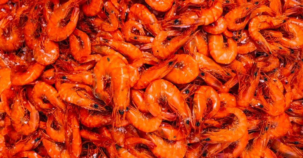 Địa Điểm Du Lịch Cần Giờ