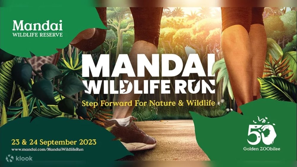 mandai wildlife run
