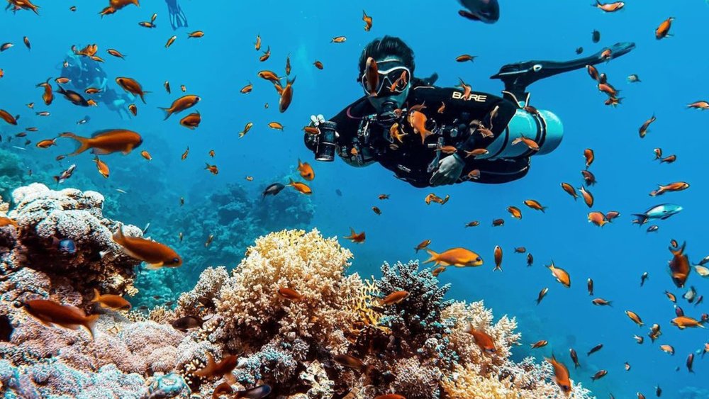 Prepare your Diving Gear for Amazing Dive Trips at these Top 10 Scuba ...