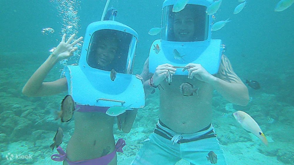 Helmet diving with the fish