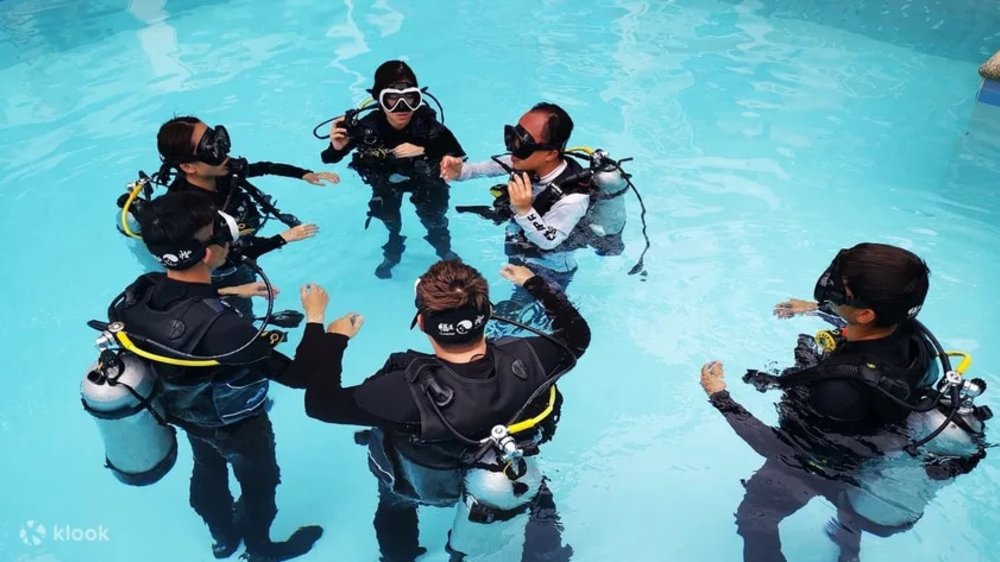 Fish swimming inside the coral reefs
