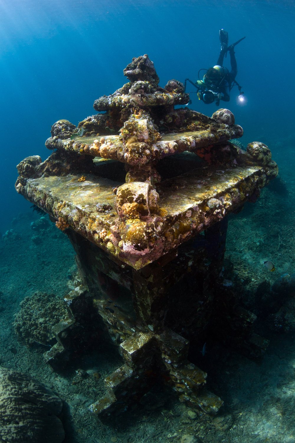 Shipwreck with corals 
