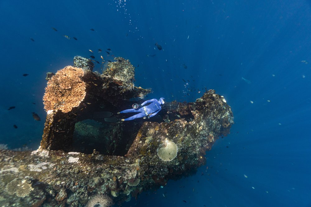 Diver swimming through the sunken ship