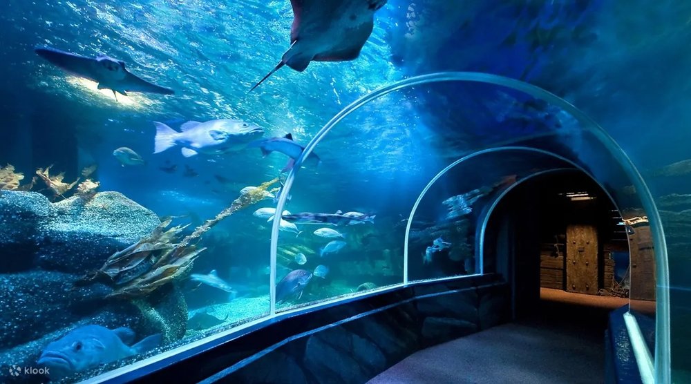  [HK]柏林 SEA LIFE 水族館