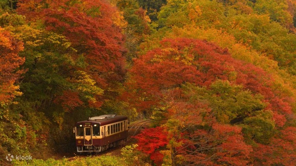 autumn foliage in japan