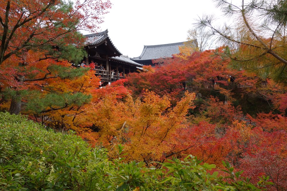 tofukuji temple