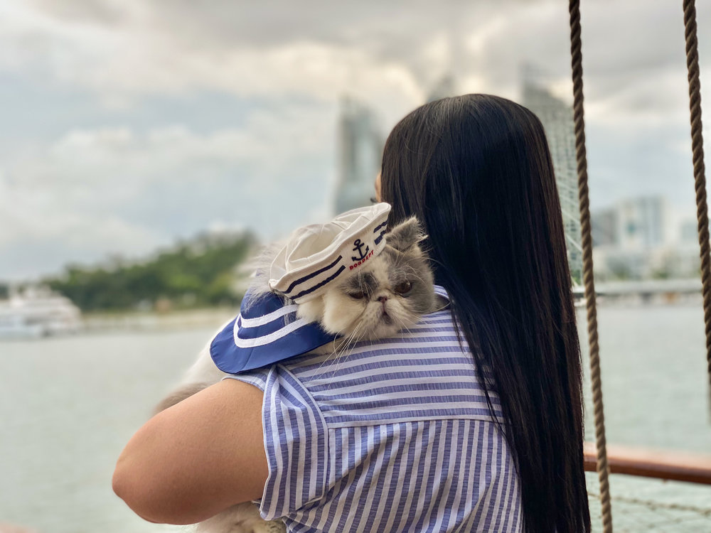 cat cruise singapore
