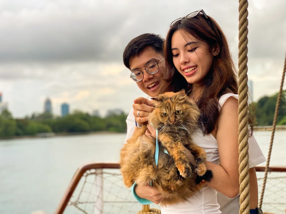 singapore cat cruise
