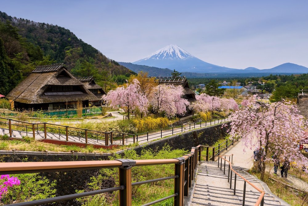 Wisata Gunung Fuji: Panduan Transportasi, Spot Terbaik Pemandangan ...