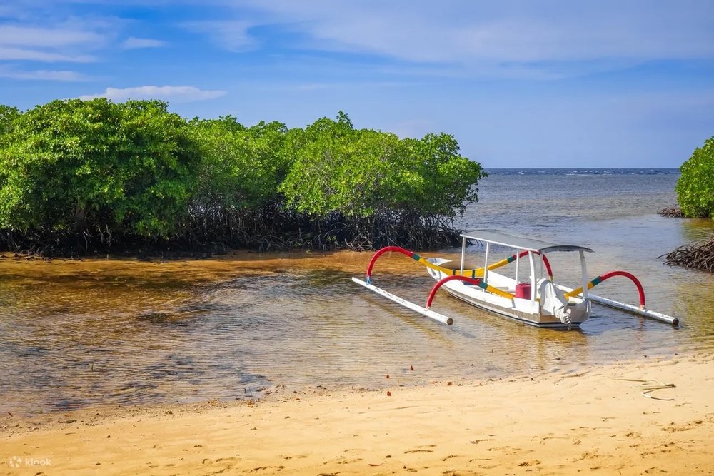 マングローブ林