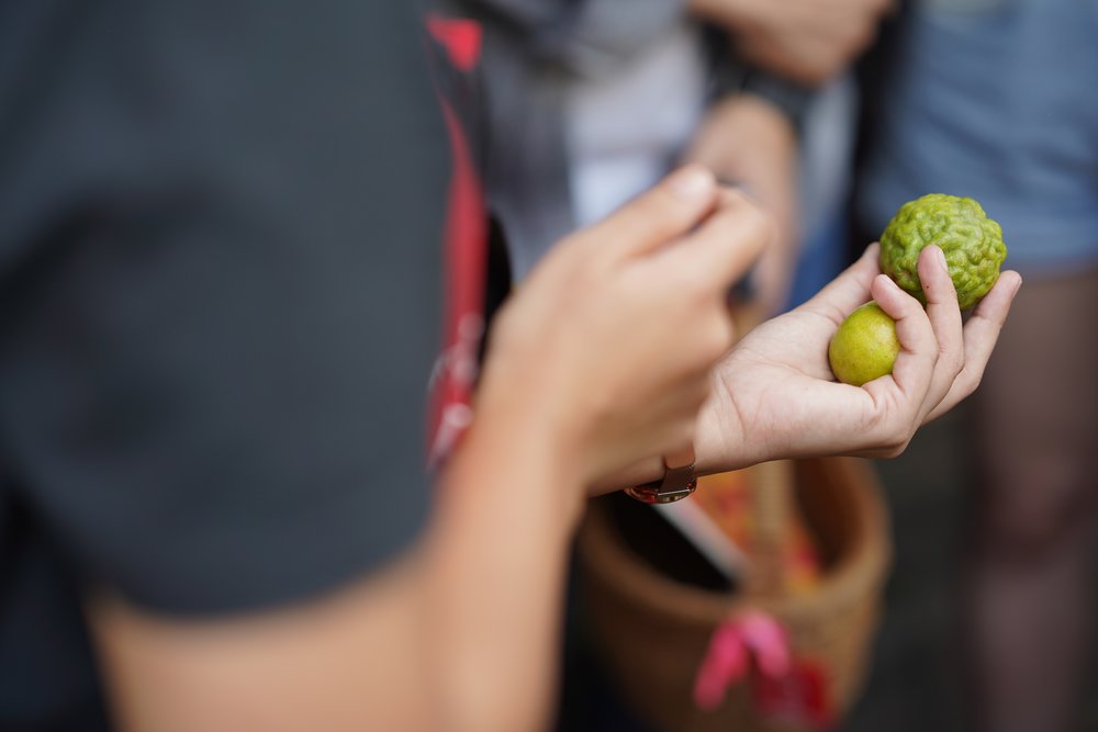 Person holding green fruits