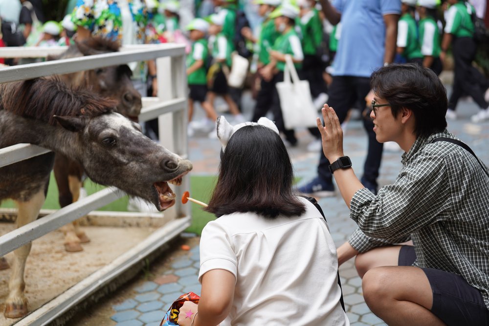 Man and woman feeding a donkey