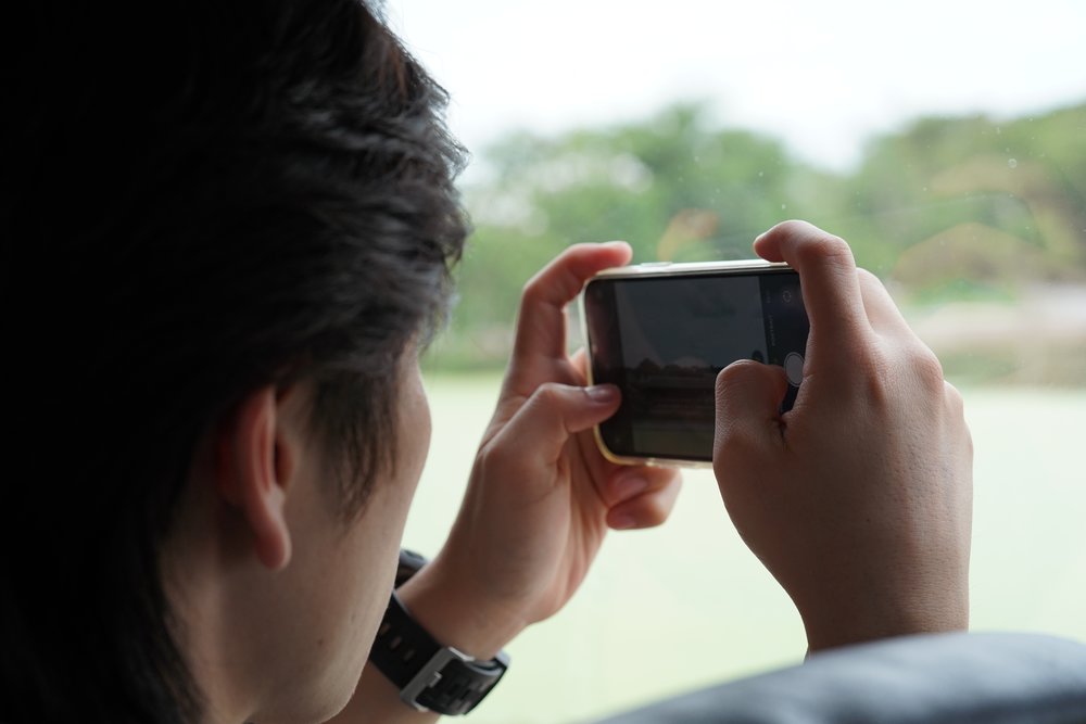 Man taking a photo of the animals from inside the car