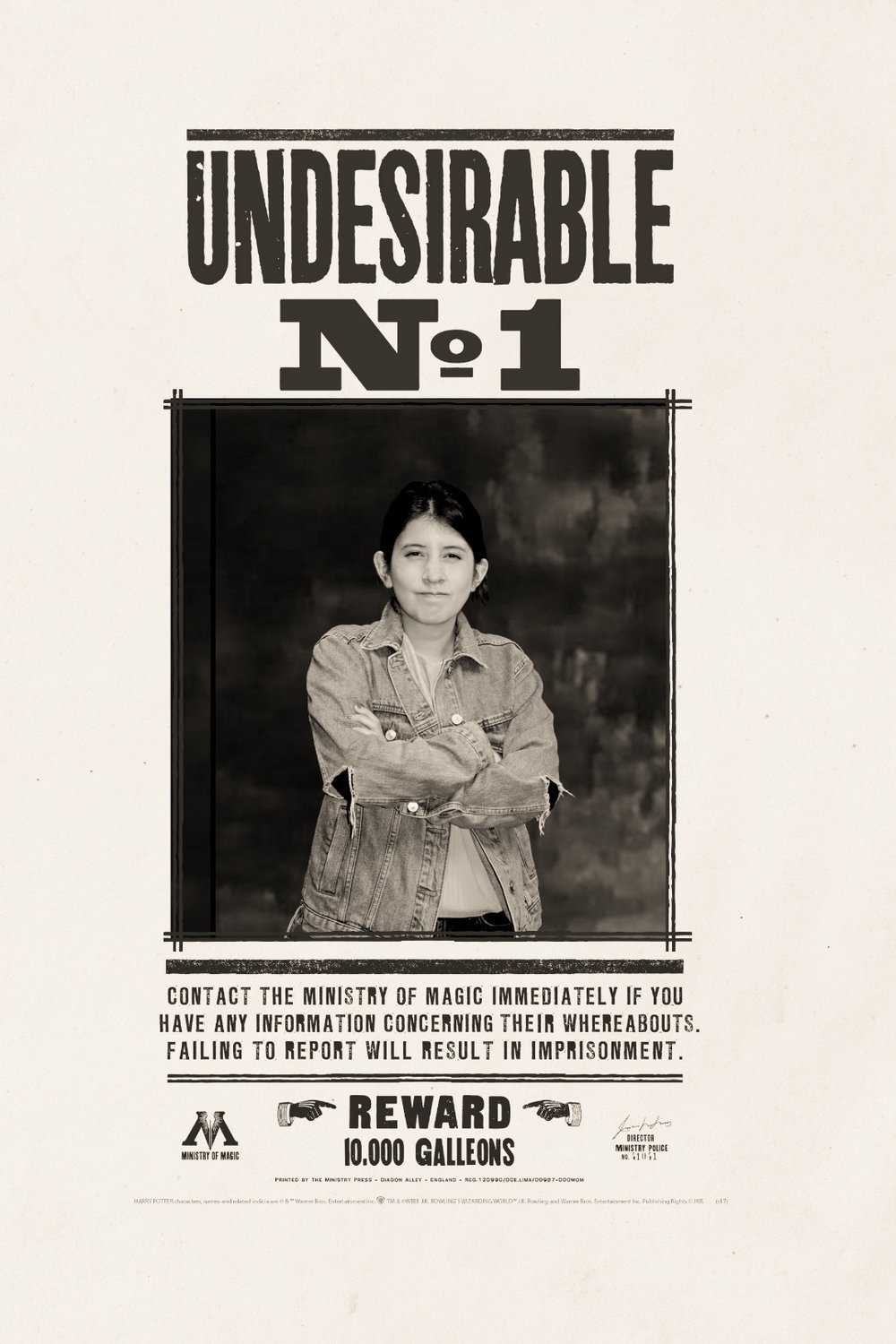 6750 Warner Bros. London Harry Potter undesirable flyer