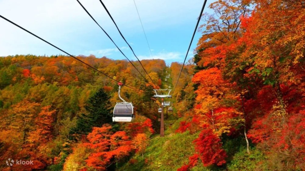 Mount Nasu Autumn Leaves