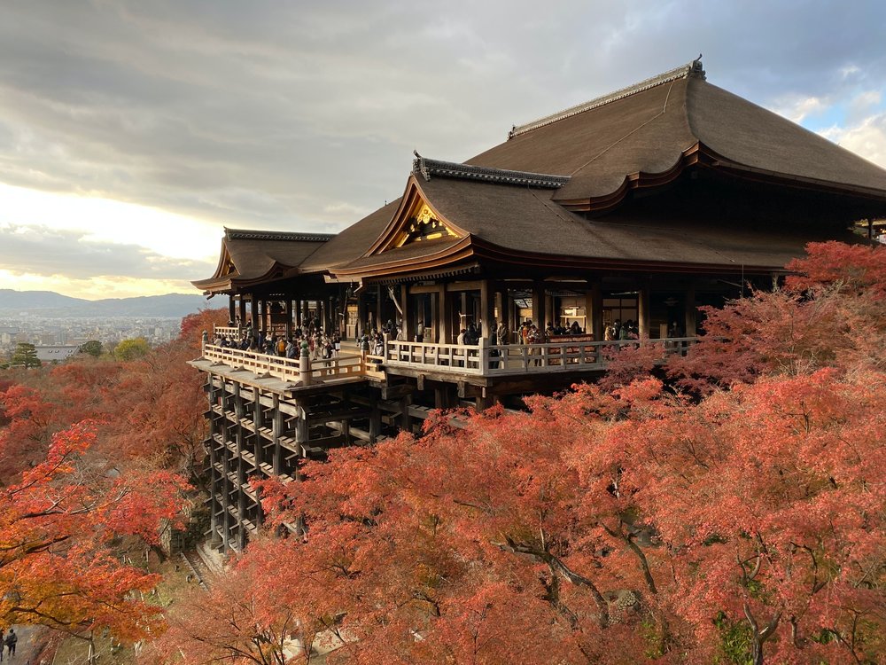 20 Best Places to See Autumn Leaves in Japan 2023: Japan’s Official ...