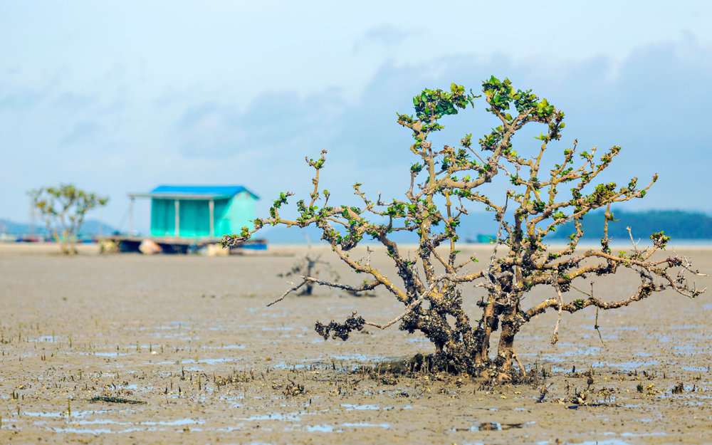 Quan Lạn Ở Đâu? 
