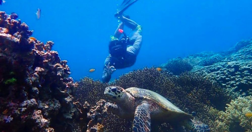 Đảo Menjangan - "Viên Ngọc" Ẩn Yên Tĩnh Ở Bali