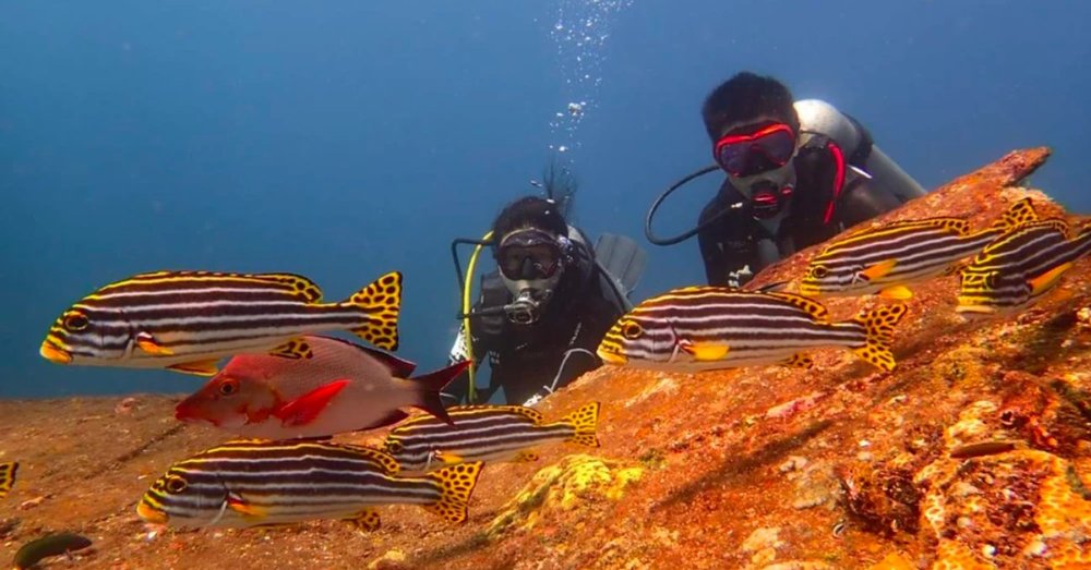 Padang Bai - Điểm Đến Với Hệ Sinh Vật Độc Đáo