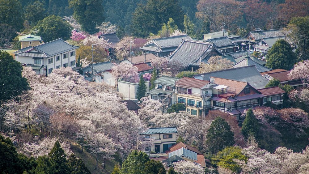 Travel to a stunning city surrounded by nature. Credits to QUENTIN Mahe on Unsplash