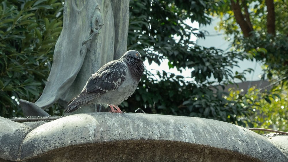 Relax and appreciate the stunning sights. Credits to YANGHONG YU on Unsplash