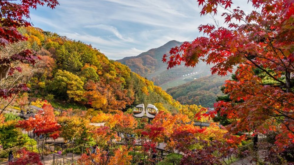 2023年韓國賞楓時間預測