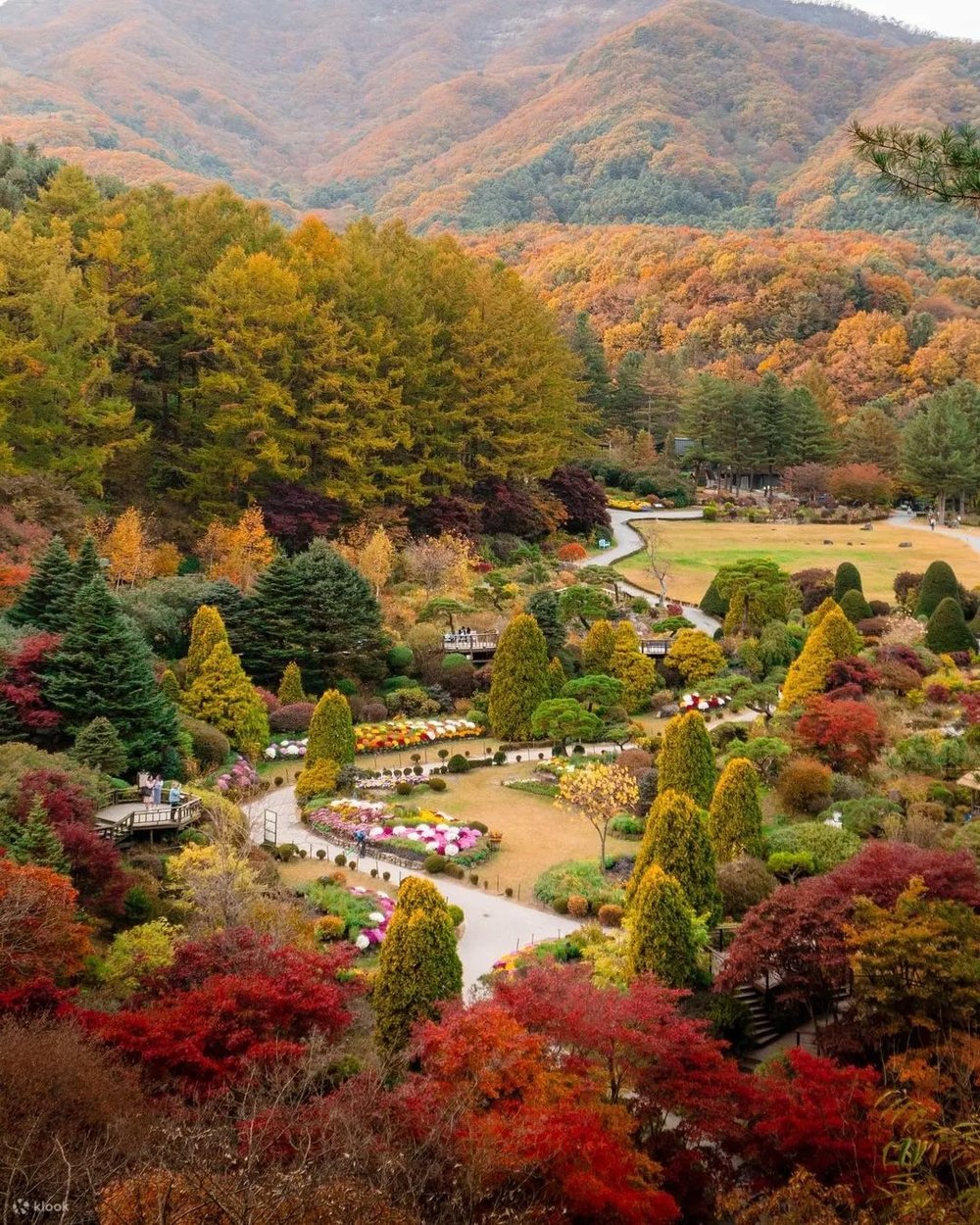 garden of morning calm autumn