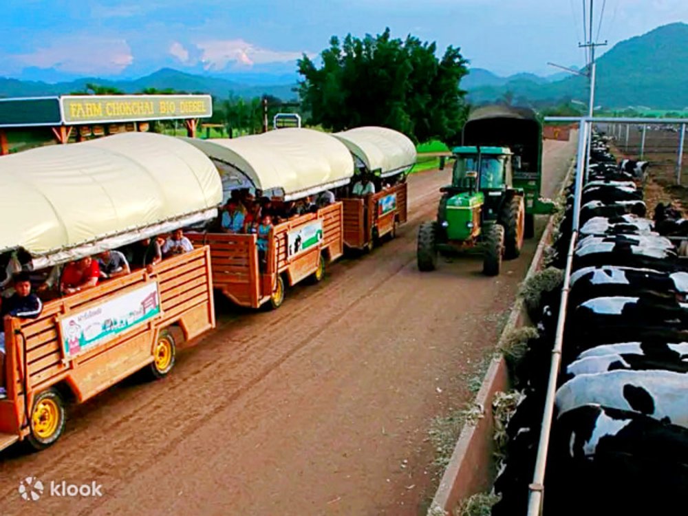 things to do in khao yai