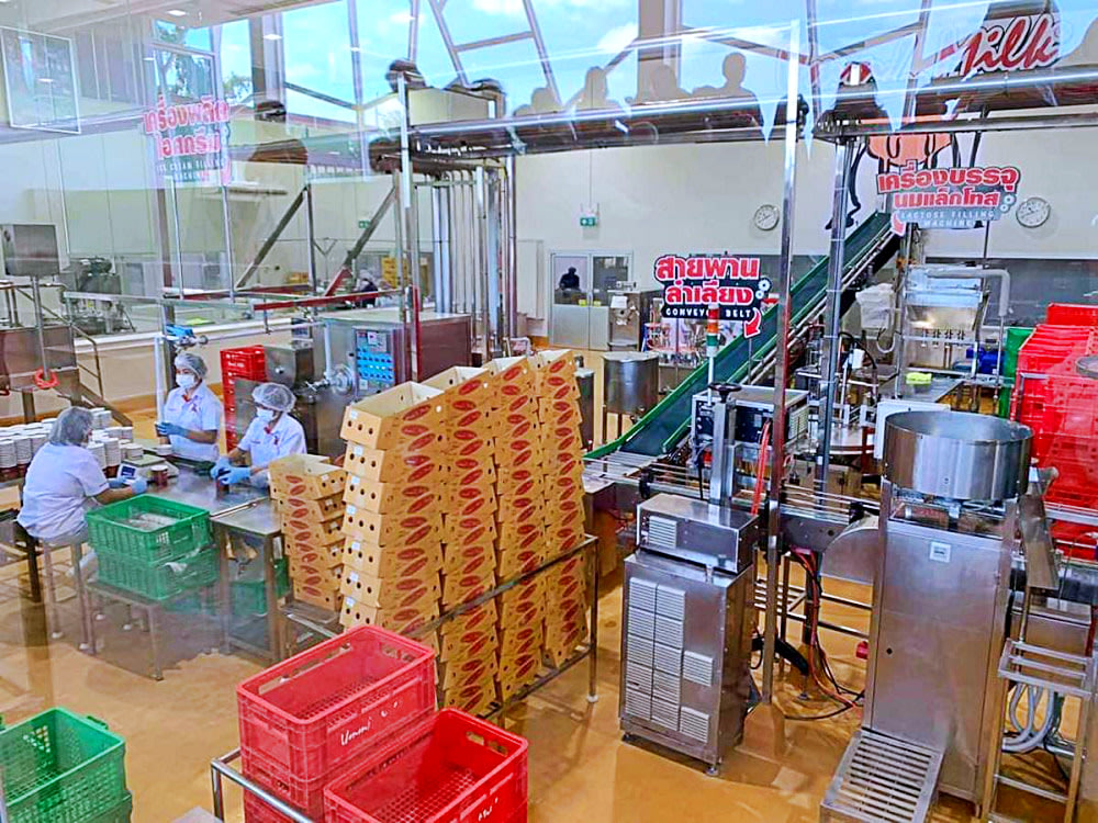 things to do in khao yai