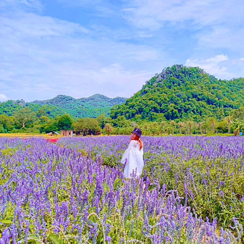 things to do in khao yai