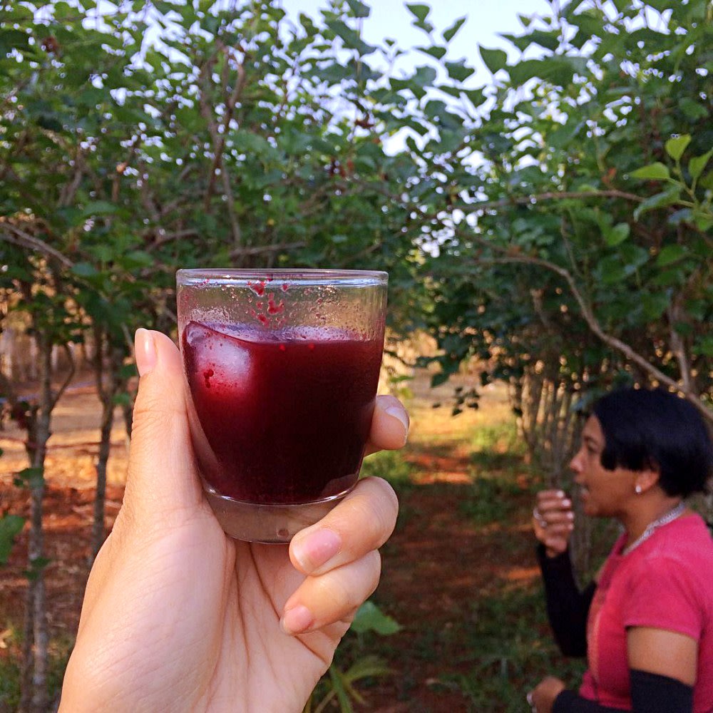 things to do in khao yai